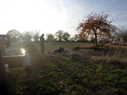 Bei der Obstbaumpflanzung (D. Diehl)