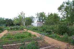 Nutzgarten am Westrand Langstadts